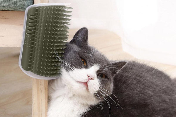 The Benefits of Self-Grooming Cat Brushes: Keeping Your Feline Friend Purrfectly Pampered