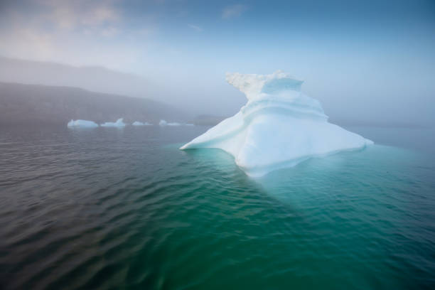 Secrets of the Web Unpacking the Dark Web Iceberg